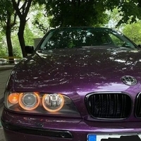 Двойни Бъбреци за BMW E39