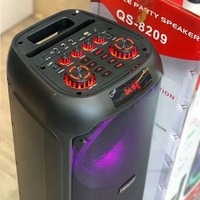 Преносим високоговорител на субуфер - QS -8209 - 889817