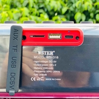 Безжична Bluetooth тонколона - WS-318 - 810675