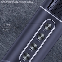 Безжична Bluetooth тонколонка с 2 микрофона караоке - YS215 - 887271 - Сребриста