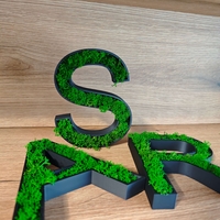 Персонализирани 3D букви с естествен мъх