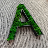 Персонализирани 3D букви с естествен мъх