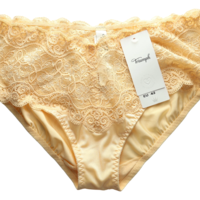 Triumph Lace Briefs • L