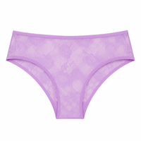 Triumph Lace Mesh Hipster • EU 2 - XL