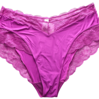 Triumph Lift Smart Brief Maxi • XL