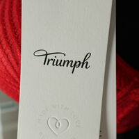 Triumph Lace Wired Bra • 90A