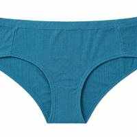 Triumph Soft Stripe Hipster Briefs • EU 40 L