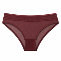 Triumph Sheer Mesh Briefs • M