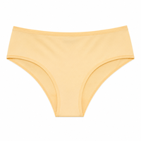 Triumph Smart Micro Maxi Briefs • S