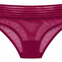 Triumph Mesh Brazilian Briefs • M