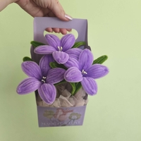 Кутия Purple Bloom