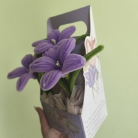 Кутия Purple Bloom