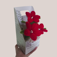 Кутия Red  Bloom