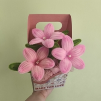 Кутия Light Pink  Bloom