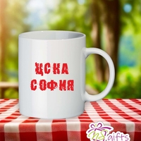 Чаша ЦСКА София