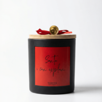 Santa I can explain...