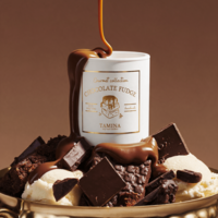 Chocolate Fudge