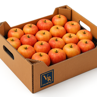 Ябълка сорт Пинова (България)