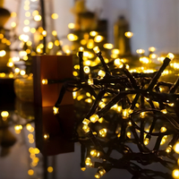 Лед украса от 320 светлини