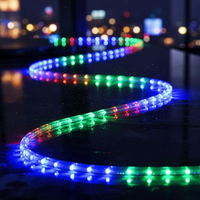 Светещ LED маркуч за коледна украса