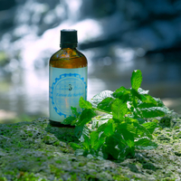 Афтършейв лосион - Le père Lucien, 100 ml – интензивна мента