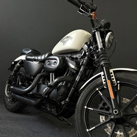 Harley-Davidson Sportster 1200 2018г 23,500км Keyless