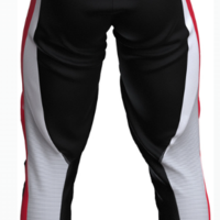 Мотокрос брич TROY LEE DESIGNS GP Pro Frames - White/Red