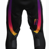 Мотокрос брич TROY LEE DESIGNS SE Pro Stripes Pants - Black/Multi