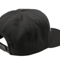 Шапка TROY LEE DESIGNS Curved Snapback Signature - BLACK