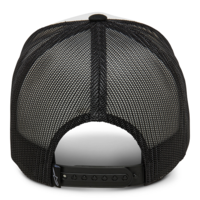 Шапка ALPINESTARSTRIPLE WHT/BLK