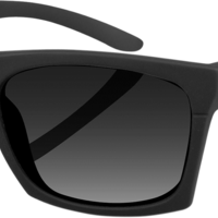 Очила BOBSTER CAPONE BLACK