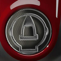 Протектор за капачка PTGSD2P/PR3094 DUCATI от 2009г