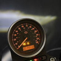 Harley-Davidson Sportster 1200 2018г 23,500км Keyless
