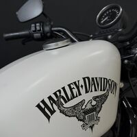 Harley-Davidson Sportster 1200 2018г 23,500км Keyless