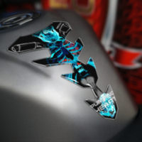 Протектор за резервоар ONEDESIGN CGEXS64P/PR3486