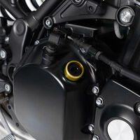 Цветна приставка за ПРОБКА ЗА МАСЛО BARRACUDA Ø35 GOLD