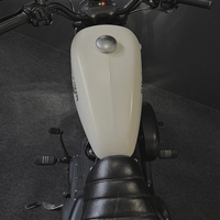 Harley-Davidson Sportster 1200 2018г 23,500км Keyless