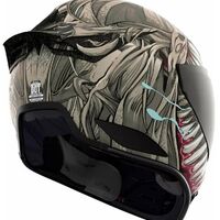 Каска ICON Domain™ GRAND MAW GY