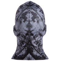 Боне ICE2 SOLID DIGI CAMO