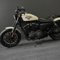 Harley-Davidson Sportster 1200 2018г 23,500км Keyless