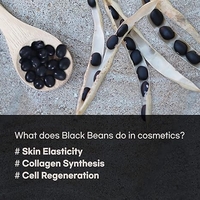 Coxir Black Snail Collagen All In One Eye Cream 30ml