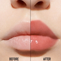 Dior Addict Lip Maximizer 009 Intense Rosewood