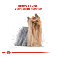 Royal Canin Yorkshire Terrier Adult 500gr
