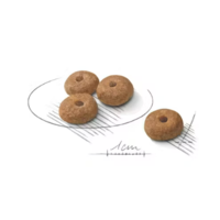 Royal Canin Mini Sterilised, 1 кг