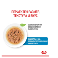 ROYAL CANIN; MINI PUPPY Pouch ' Пълноценна храна за подрастващи кучета от дребни породи