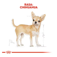 Royal Canin Chihuahua Adult 500gr