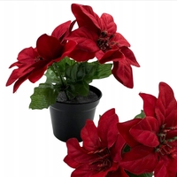 ЧЕРВЕНА ЗВЕЗДА НА ВИТЛЕЕМ В САКСИЯ ИЗКУСТВЕНО ЦВЕТЕ 15 СМ ДЕКОРАТИВНО