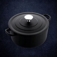 Чугунена тенджера Royal van Kempen & Begeer , 3.3L, 22см, Фурна до 260C, Индукция, Черен