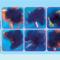 бамбиноЛЮК - Подводен свят