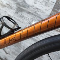 Giant TCR Pro 0 SRAM Force AXS D1 Powermeter DT Swiss Performance | M